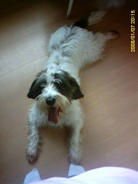 PICT0304