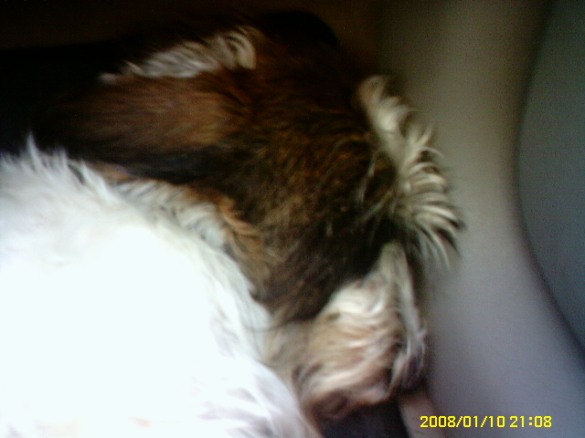 PICT0502