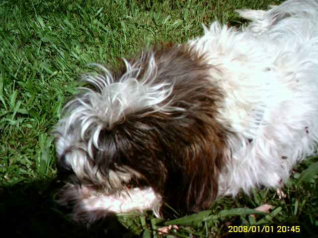 PICT0770