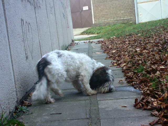 PICT0098