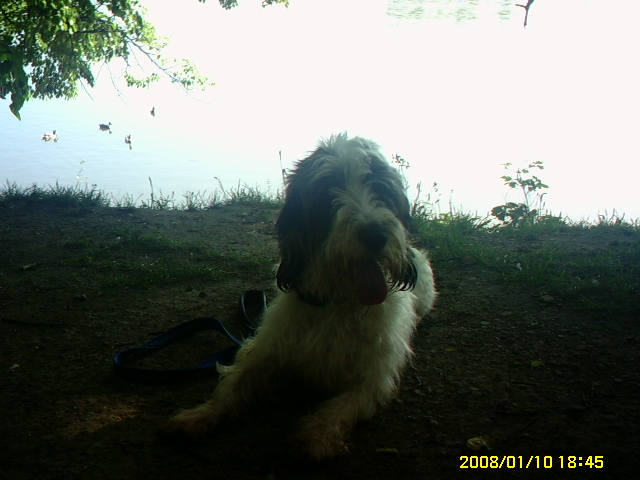 PICT0348