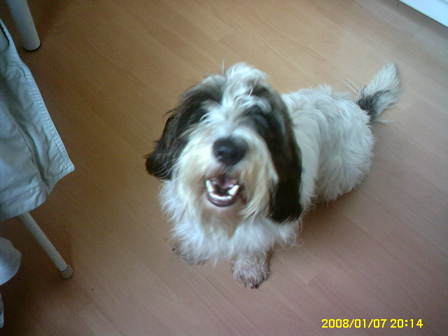 PICT0300