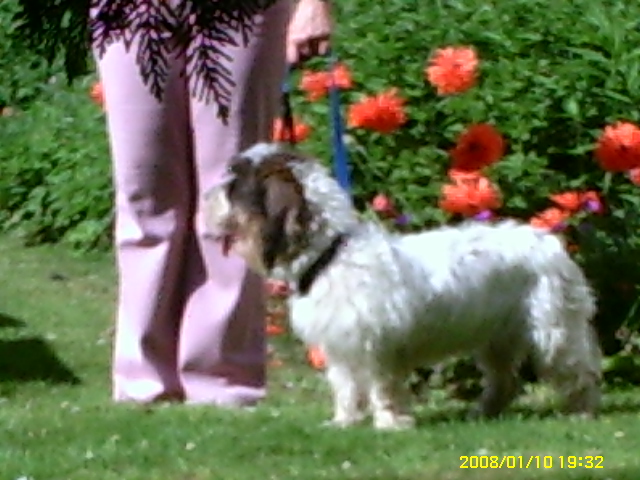 PICT0390